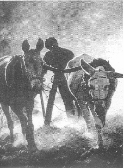 Foto Enciclopedia Salvat de la Fotografía Creativa